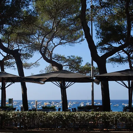 酒店 特拉玛尔酒店 雅弗郎其